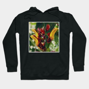 Pretty Red And Yellow Flower with green leaves nature lovers beautiful photography design Hoodie